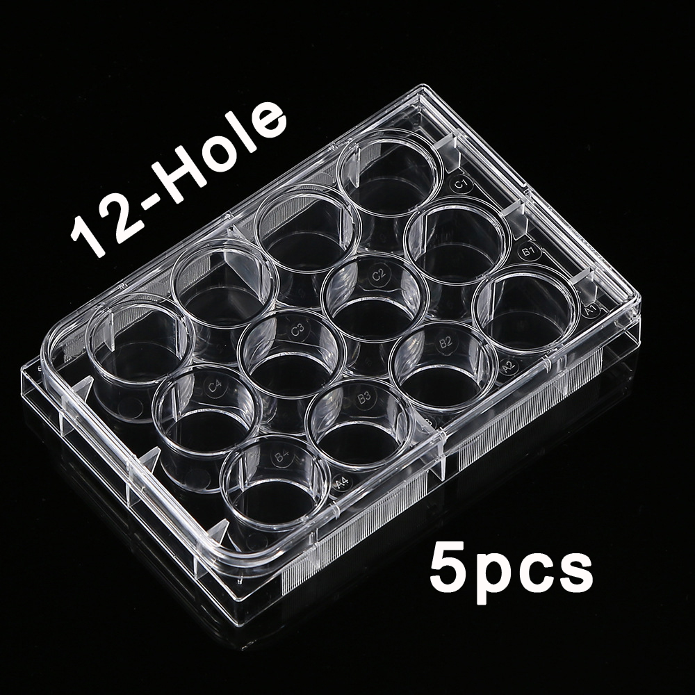 5Pcs Polystyrene 12 Well Petri - Medical Wellness & Spa Werona review and price