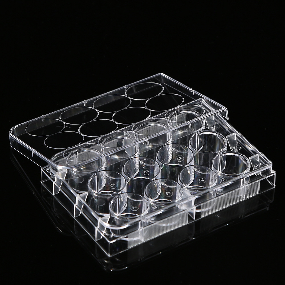 5Pcs Polystyrene 12 Well Petri - Medical Wellness & Spa Werona review and price