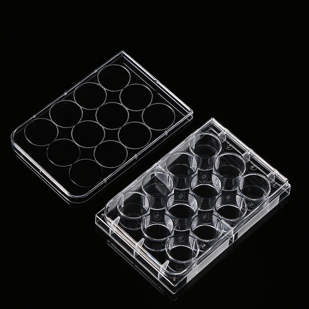 5Pcs Polystyrene 12 Well Petri - Medical Wellness & Spa Werona review and price